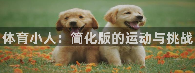 vsport体育官网下载平台注册要钱吗:体育小人:简化版的运