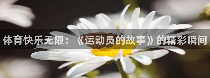 vsport体育官方正版app神州:体育快乐无限:《运动员的