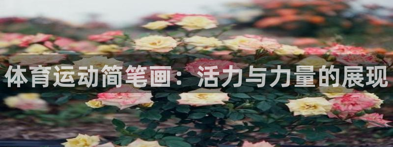 vsport体育官网下载招商电话:体育运动简笔画:活力与力量