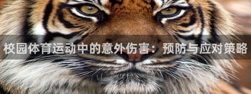 vsport体育官网下载招商电话号码查询:校园体育运动中的意