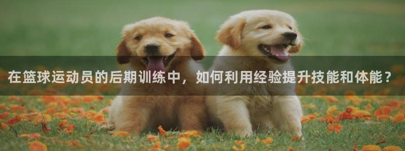 vsport体育官方正版app新能源:在篮球运动员的后期训练