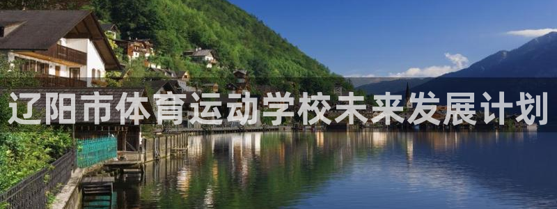 vsport体育官方正版app集团E.ON:辽阳市体育运动学