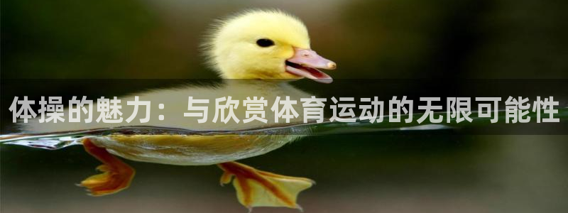 vsport体育官网下载开户:体操的魅力:与欣赏体育运动的无